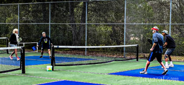 ピックルボールお勧め動画数点：ピックルボール15