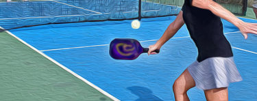 ピックルボールの歌と動画・ピックルボール23