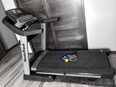 ピックルボールで驚異的に体重を落とした夫婦のお話：ピックルボール30