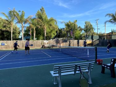 マスクでピックルボール：ピックルボール53