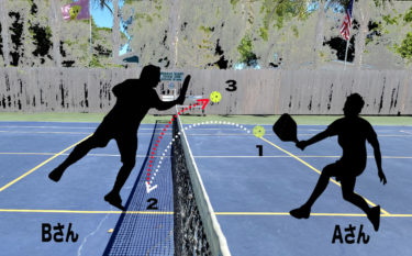 ルール＊相手コートにネットから身を乗り出して打っても良いか？：ピックルボール58