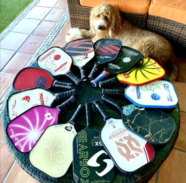 ユニークなパドルデザイン一挙公開：ピックルボール105